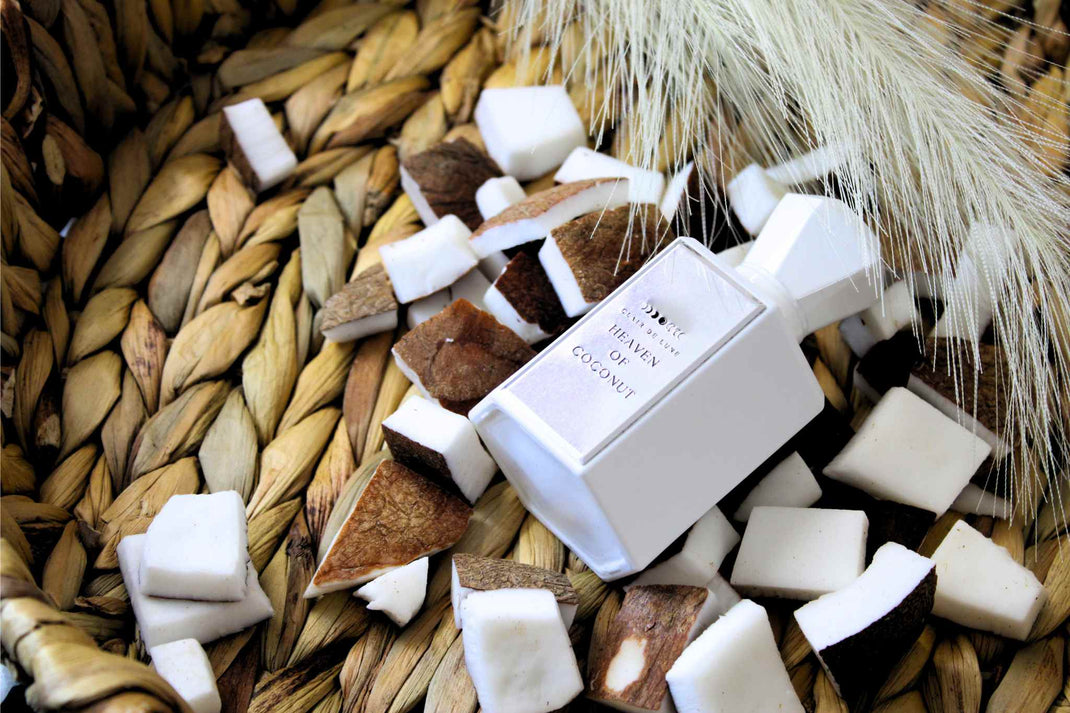 Clair de Lune Heaven of Coconut Extrait de Parfum Clair De Lune